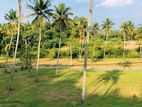 නාරම්මල නේවාසික බිම් කොටස් විකිණීමට