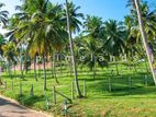 නාරම්මල නගරයෙන් අඩුවට ඉඩමක් විකිණීමට