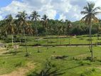 නාරම්මල නගරයට ආසන්නයේ ඉඩමක්