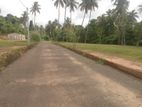 නාරම්මල සියලු අනුමැතියන් සහිත බිම් කොටස්