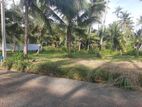 නාරම්මලින් ඉඩමක්