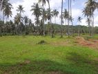 නාරම්මලින් කොලඹ 5 පාරෙන් ඉඩමක්