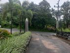 නාරම්මලින් පදිංචිය ආයෝජනයට කියාපු ඉඩමක්