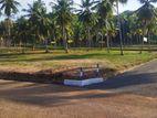 නාරම්මලින් පදිංචියට ඉඩමක්
