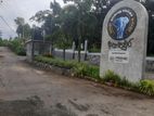 නාරම්මලින් පදිංචියට ඉඩමක්