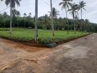 නාරම්මලින් ටවුමට විනාඩි 5 දුරින් සුපිරි ඉඩමක්