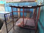 Dog Cage