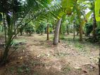 Nainamadama - 60 Perches Land for Sale (SSPL-479)