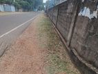 Land for Sale in Nallur