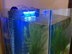 Nano Design Fish Tank with Accessories