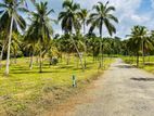 Narammala Land for Sale