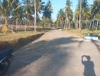 Narammala Land for Sale