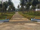 narammala land for sale