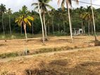 Narammala Land for Sale