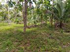 Narammala Land for Sale