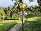 narammala land for sale
