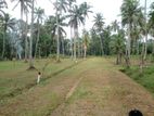 Narammala Land for Sale (SSPL-362)