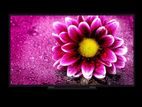 NASHINAL 55" UHD 4K SMART TELEVISION
