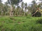 Nattandiya Land for Sale