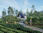 Natural beauty houses for sale in Rozella