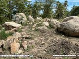 Natural Boulders for Sale