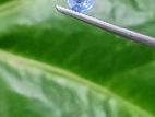 Natural Corundum Blue Sapphire.