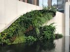 Natural Green wall