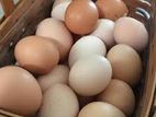 Natural Home Eggs