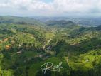 Natural Houses for Sale in Rozella