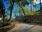 Natural Land for sale in Haputale