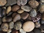 Natural River Stones