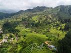Nature surrounding houses for sale in Rozella