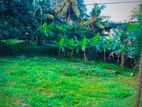 🌿 Nature View Land Plots