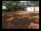 Navinna, Rajamahavihara Road 17 Perches of Land for Sale