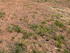 NAWALA : 17 PERCHES PRIME LAND FOR SALE