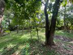 Nawala - Land for Sale
