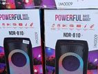 NDR-810 Party Box with Mics