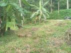 Near Homagama Town - Land for Sale