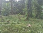 Near Homagama Town - Valuable Land for Sale