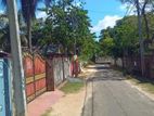 Near Jaffna Hindu college lane land for sale