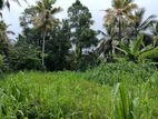 Near Malabe Town - Land for Sale