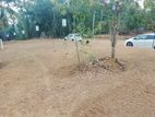 Near Panadura Luxury Land for Sale In Idigaha RD Bekkeghama