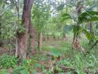 Land for Sale in Kusum Villa , Shavasthipura