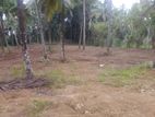 Land for Sale Pothuhera