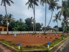 Near the panadura town lands T01