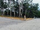 Near to horana kaluthara road