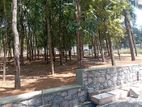 Near to kahathuduwa highway entrance