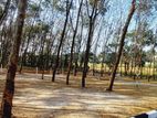 Near To Panadura Hospital Valuable Land