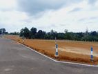 Near to Panadura Rathnapura main bus route