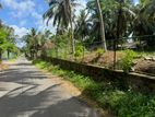 Near Town Bandaragama Land for Sale